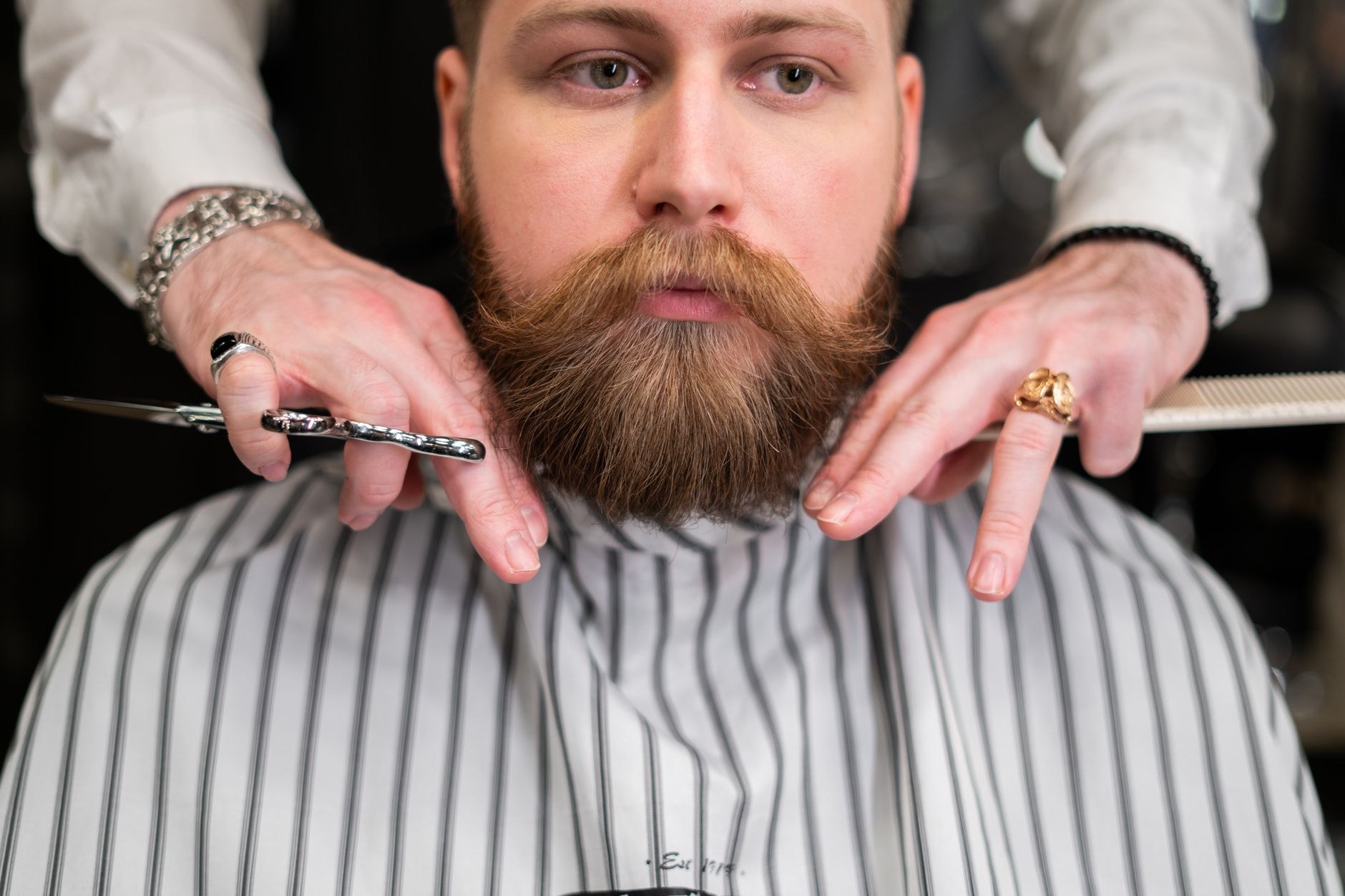 SAMPLE IMAGE - beard shaping with scissors